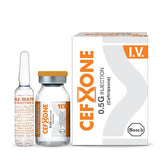 Cefxone Iv Injection 0.5G (1 Box = 1 Injection)